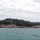 바래도 Daum백과