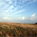 가메오름