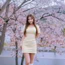 금요영화마당 | 봉천동 김수희 미스트롯4 정체 윤태화 프로필 인스타 총정리