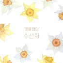 꽃을담다 이미지