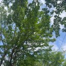 태양안마시술소 | 나트랑 마사지샵 깔끔한 느낌의 스파 이용 후기(가격,팁) 정보