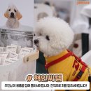 (주)케어위드 이미지