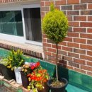 예담 아카데미 이미지