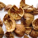 호두미디어 이미지