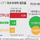 앞으로 ‘한국에서만’ 유튜브 화질이 720p까지로 제한될 수도 있음 이미지