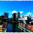 속초사잇길 제4길 이미지