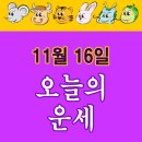 2025년 11월 16일 일요일 오늘의운세 무료운세 이미지