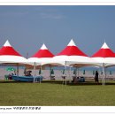 제주야 표선 이미지