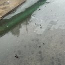 김밥세상 이미지