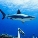 캐스코(주) 이미지