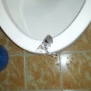 세이모텔 이미지