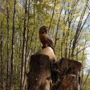 테라스풍경 이미지