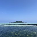 한림부부약국 이미지