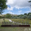 책과비디오산책 | 합천 황매산 억새 축제 이미 예쁨 주차장 복잡할 때 가지 말고 당장 출발