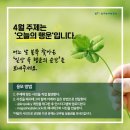 행운 이미지