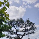 소림농장 이미지