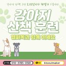 도그헬퍼 이미지