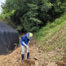 [이태열 거제시의원] 합천군 수해복구현장 자원봉사 다녀왔습니다 이미지