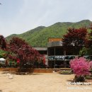 쌍곡반점 네이버블로그