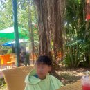 Sun ok | Day 14. 푸꾸옥에서 아이들이 가장 좋아하는 혼똔섬(샤워실도 OK)