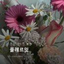 관평동 | 감성 가득한 관평동꽃집 [플레르밋] 방문 후기 💐