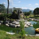 언덕위하얀집 이미지