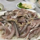 구룡포고고수산