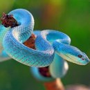 서울치과병원 이미지