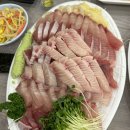 풍어회관 네이버블로그