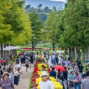 행복한 정원 이미지