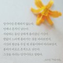 _김소연, 『마음사전』 이미지