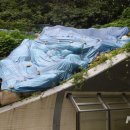 진북동 주민센터 이미지