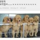 탕 끓이는집 아트나라 | 중국 여행 두 번이면 몰름보도 발전한다