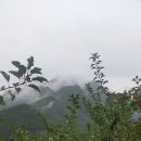 수성농장 이미지