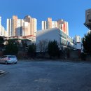 문수로 | [울산 맛집] 신정동 꼬들목살 맛집 "돼지영농후계자 문수로점" 내돈내산 후기