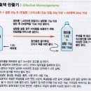 쌀뜨물 발효액 만들기(Effective Microorganisms) 이미지