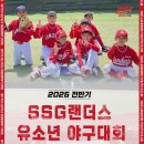 고든스포츠야구광의시