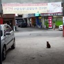 오봉카공업사