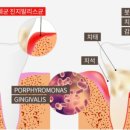 (주)월드라인 이미지