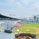 아주운동장 | 국내야구 두산베이스 vs NC다이노스 잠실 운동장 직관후기 내돈내산 (아주 간단한이야기)