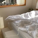 하귤스테이 이미지