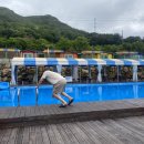 애견동반 멍멍아노올자 이미지