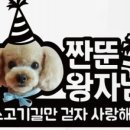 멍냥시대