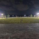 문화광장길 이미지