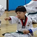 태사자태권도