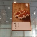 바르다김선생 이미지