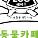아기동물카페 이미지