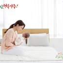 (주)케이티앤지영주공장