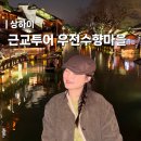 수향 | 중국 상하이 여행 코스 2박3일 근교투어 우전수향마을 후기