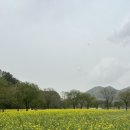 금암리 간이화장실 이미지